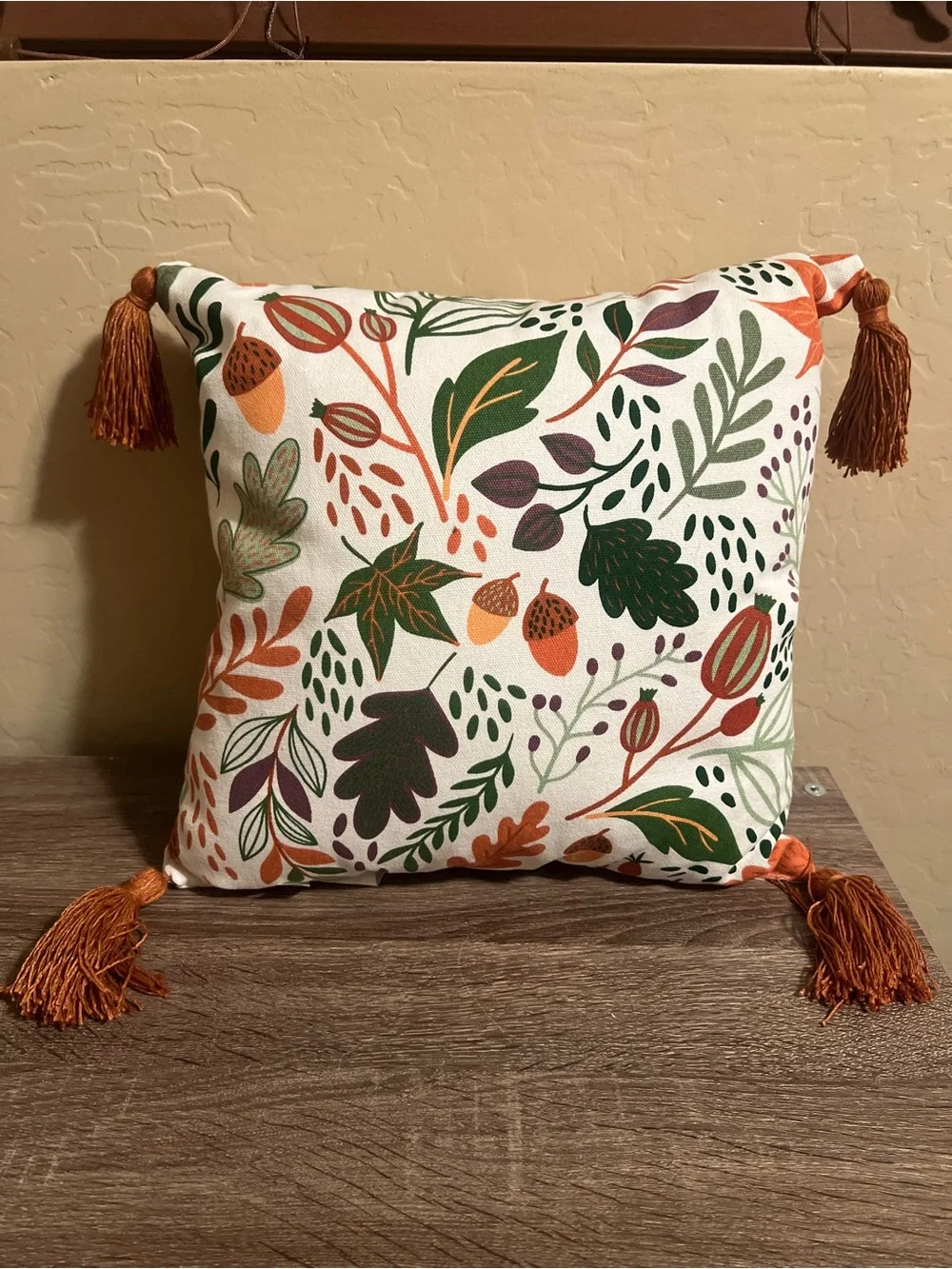 Target Bullseye Throw Pillow Fall Leaves Tassels Autumn Acorns Orange Green NWT